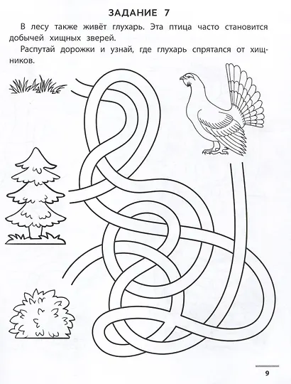 Лесные ходилки-бродилки: развиваем зрительно-моторную координацию: 4+ - фото 3