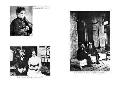 Жизнь Антона Чехова (третье, дополненное издание) - фото 8