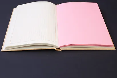 Блокнот «Птица в клетке», 80 листов - фото 3