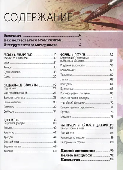 Цветы в акварели. Рисуем за 30 минут. 35 пошаговых проектов и схем - фото 2