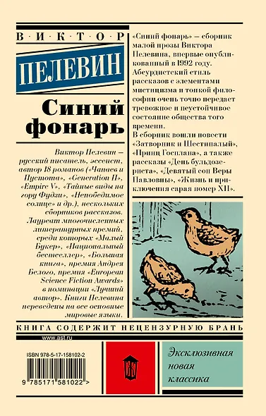 Синий фонарь - фото 2