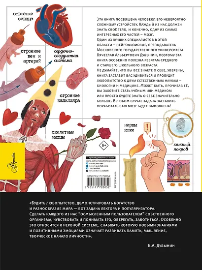 Человек. Исследуем тело и мозг человека - фото 2