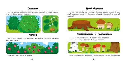 Лес: энциклопедия для малышей в картинках - фото 3