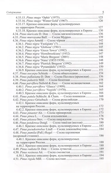 Виды и формы хвойных, культивируемые в России. Часть 4. Сосна - фото 4