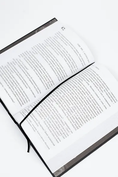 История Лизи - фото 13