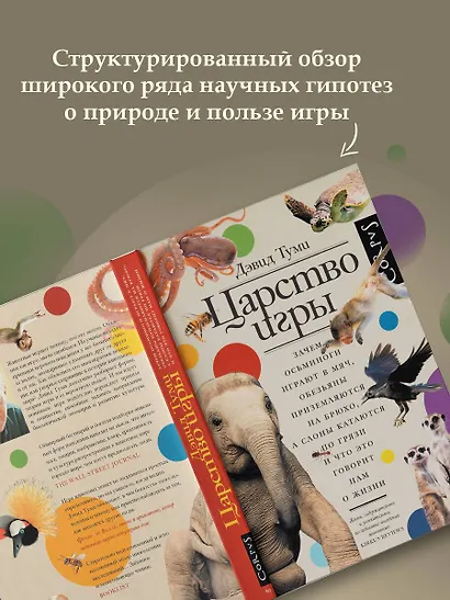 Царство игры - фото 4