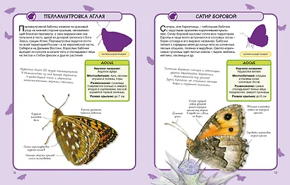 Бабочки - фото 6