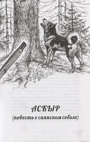 Лесными тропами. Повести - фото 6