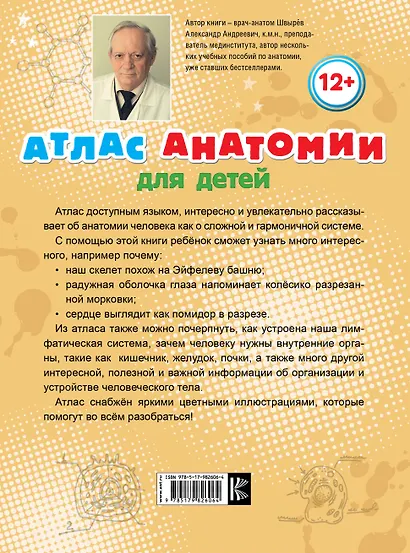 Атлас анатомии для детей - фото 2