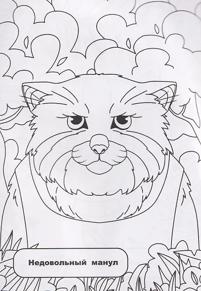 Лесная компания: раскрашивай и придумывай истории про озорных животных - фото 3