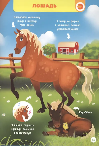 Моя первая энциклопедия в дополненной реальности. Домашние животные - фото 5