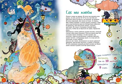 Я кот - фото 5