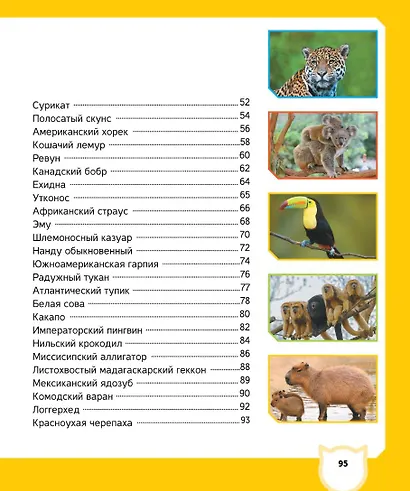 Животные - фото 9