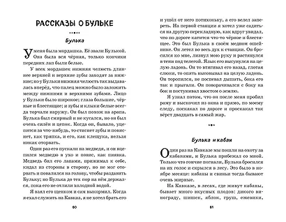 Стрекоза и муравьи. Рассказы, сказки, басни (ил. В. Канивца) - фото 6