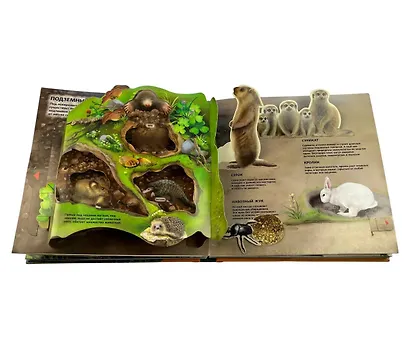 Животные. Большая наглядная 3D-энциклопедия - фото 11