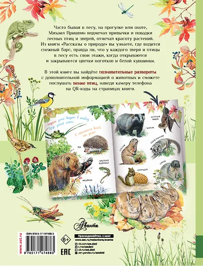 Рассказы о природе - фото 2