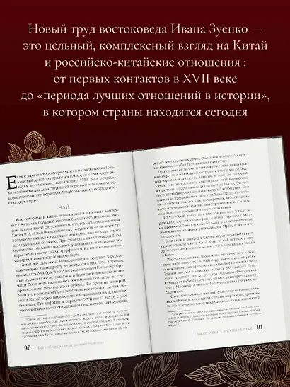 Россия плюс Китай. Очерки по истории и современности отношений - фото 5