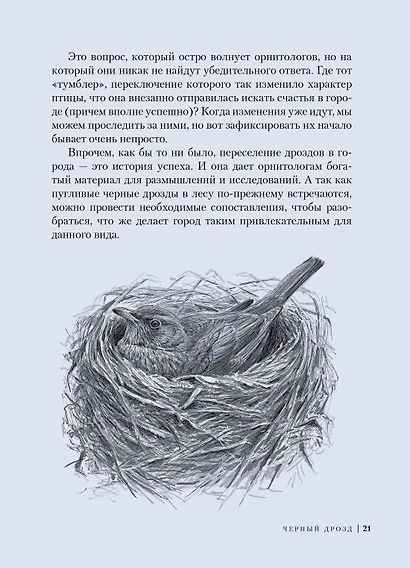 Птицы: Крылатые чудеса природы - фото 3