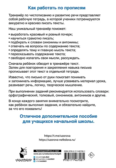 Тренажер по чистописанию и развитию речи 2-4 классы - фото 2