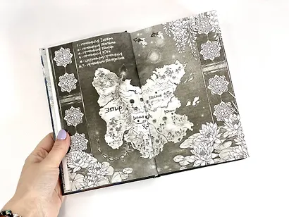 Комплект из двух книг (Двойник Запада и Пятый дракон) - фото 13