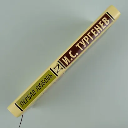 Первая любовь - фото 5