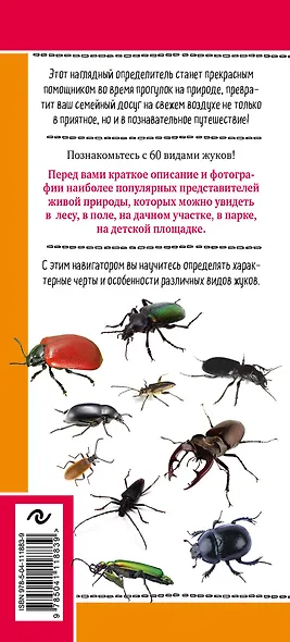 Жуки. Мир удивительных насекомых. Наглядный карманный определитель - фото 2