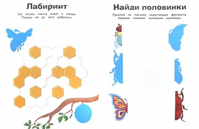 Жучки, паучки, бабочки - фото 2