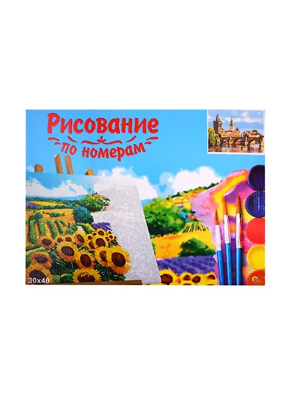 Набор ТМ Рыжий кот Холст с красками 30х40см по номерам ЧЕХИЯ. ПРАГА (Арт. Х-6463) - фото 2