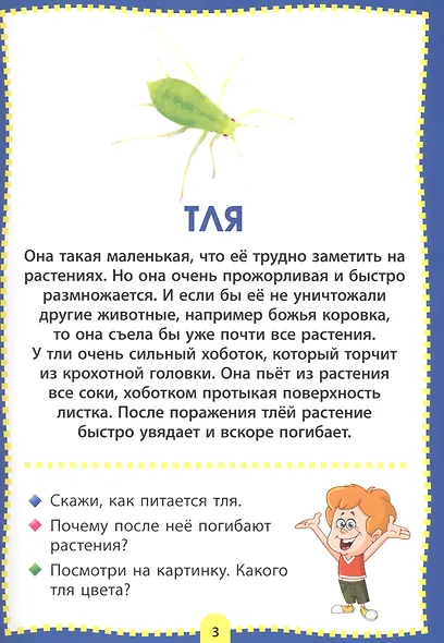 Насекомые. Фотокнига для самых маленьких - фото 3