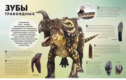 Экскурсия в прошлое: динозавры. Самая реалистичная энциклопедия - фото 6