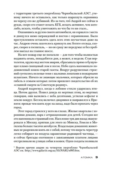 Атомка - фото 11