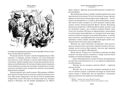 Пятнадцатилетний капитан. Пять недель на воздушном шаре - фото 11