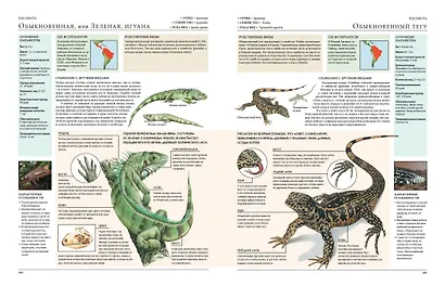 Животные мира. Моя большая энциклопедия - фото 11
