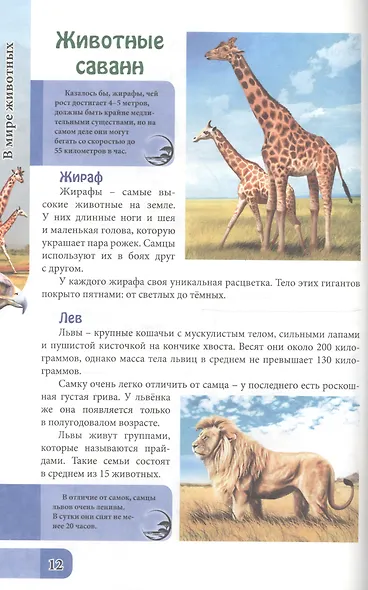 ЭНЦИКЛОПЕДИЯ. В МИРЕ ЗНАНИЙ. В МИРЕ ЖИВОТНЫХ - фото 4