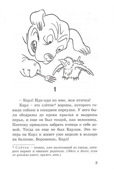 Воронёнок, Карл! Картинки из жизни чрезвычайно умной птицы - фото 2