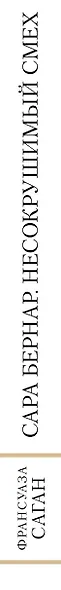 Сара Бернар. Несокрушимый смех: роман - фото 5