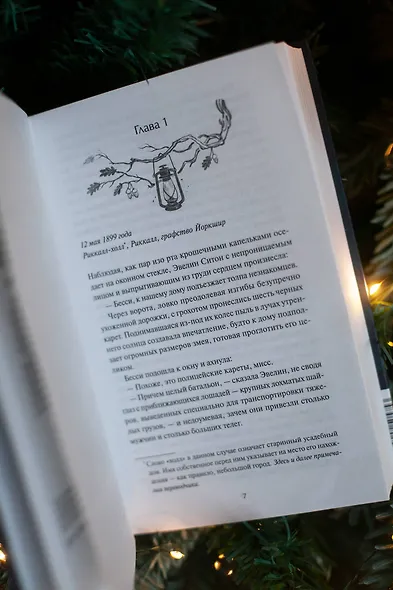 Книжная лавка фонарщика - фото 11