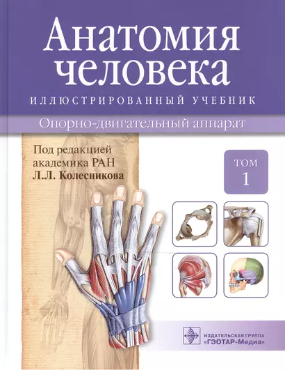 Анатомия человека.Т.1-Опорно-двигательный аппарат.Учебник в 3 томах - фото 1