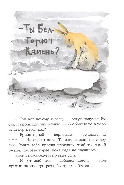 Солнечный рысик - фото 4