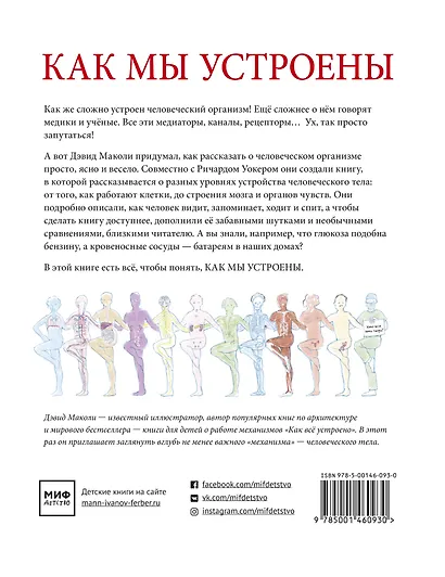 Как мы устроены - фото 2