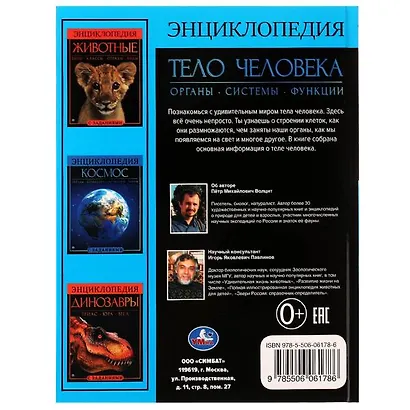 Тело человека - фото 5