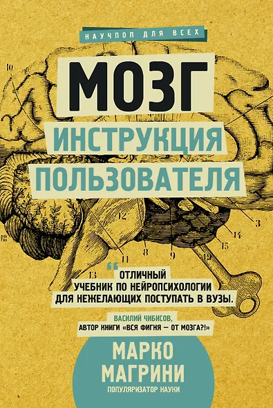 Мозг. Инструкция пользователя - фото 1