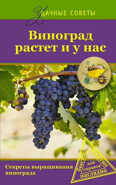 Удач.сов.Виноград растет и у нас - фото 1