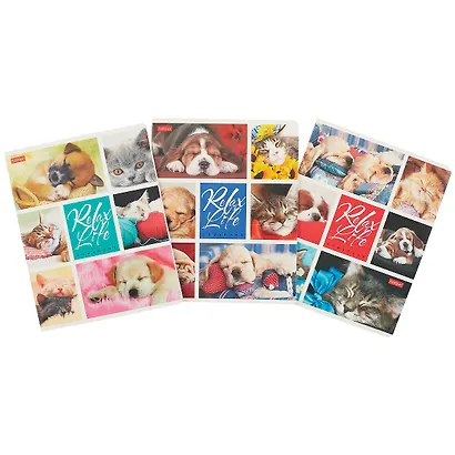 Тетрадь в клетку Hatber, Relax Life, 24 листа, в ассортименте - фото 5