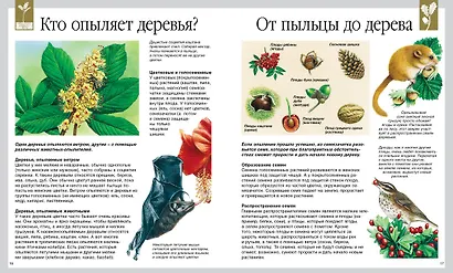 Мир леса - фото 3