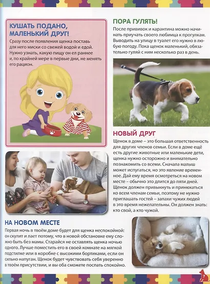 Собаки. Детская энциклопедия - фото 4