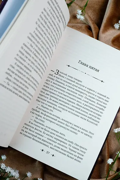 Сердце предательства - фото 8