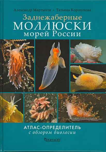 Заднежаберные моллюски морей России. Атлас-определитель с обзором биологии - фото 1