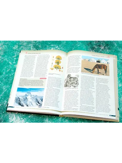 Великие географические открытия. Большой иллюстрированный атлас - фото 4