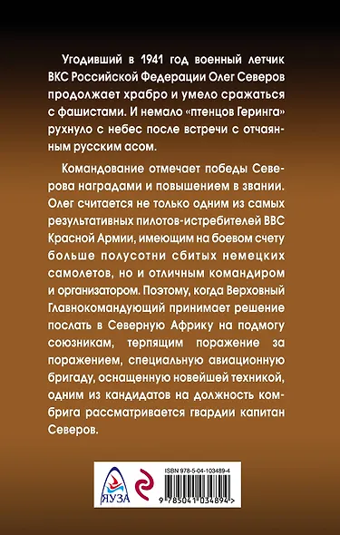 Сталинский сокол. Комбриг - фото 2